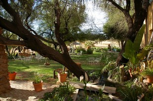 263 Namibia Okt 2006 Hammerstein-Lodge.JPG
